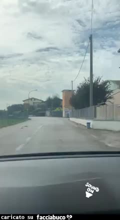 gif animata