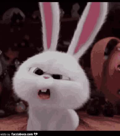 gif animata