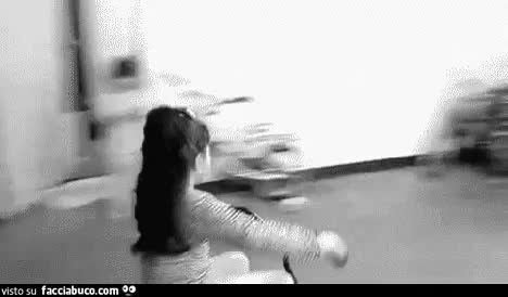 gif animata