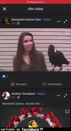gif animata