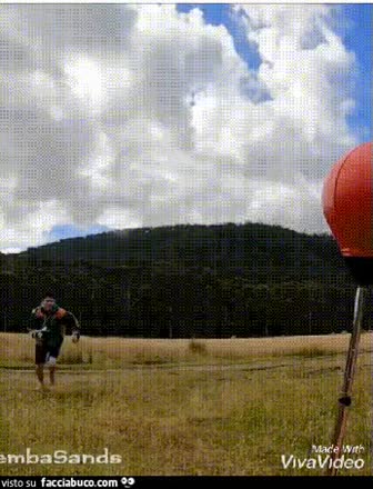 gif animata