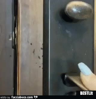 gif animata