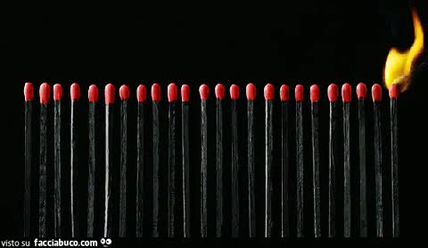 gif animata