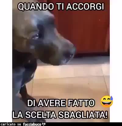 Quando ti accorgi di aver fatto la scelta sbagliata