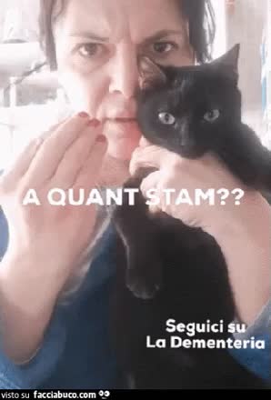 gif animata