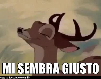 gif animata