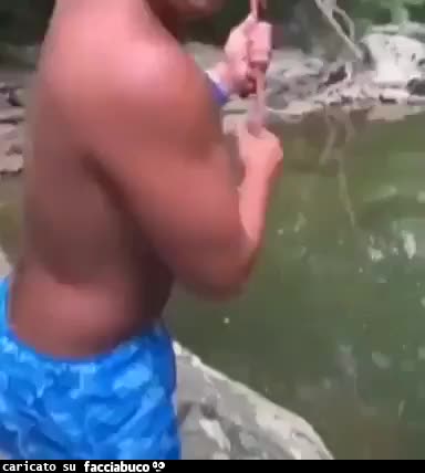 Gif Animata