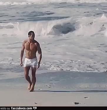 gif animata