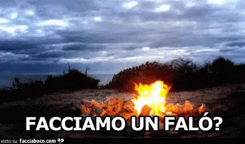 gif animata