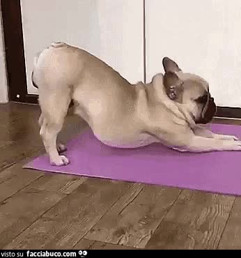 gif animata