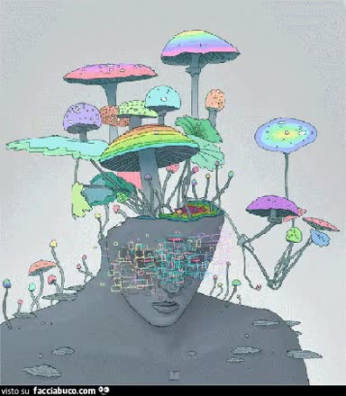Gif Animata