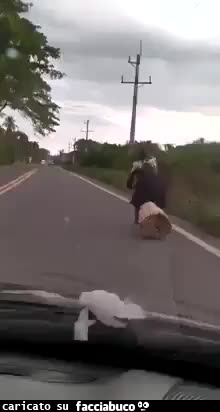 La befana